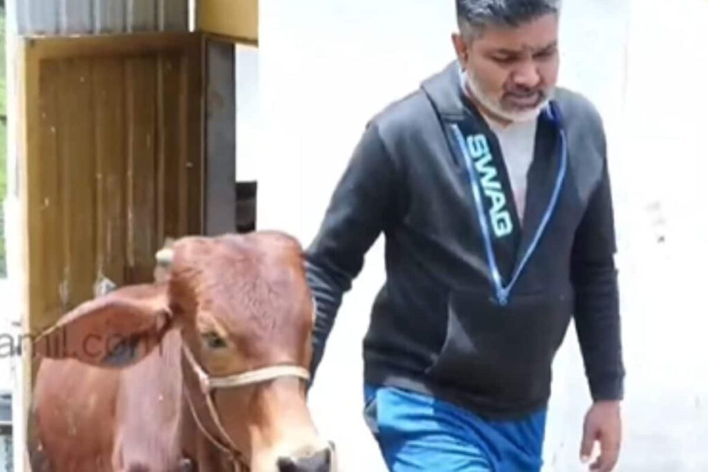 This Tamil Man Left IT Job To Start Cattle Farming In His Hometown