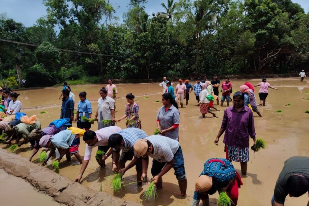 Sirsi’s Plantation Festival Aims To Revive Traditional Farming Among Youth