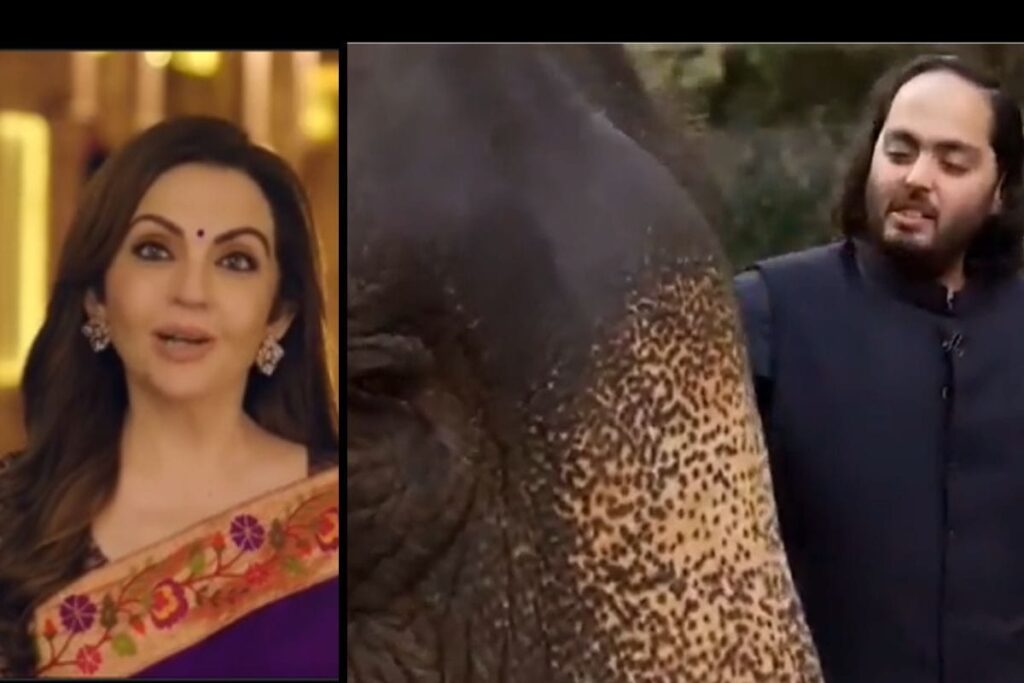 Nita Ambani: Anant Ambani's Vantara A Reminder of Indian Philosophy of Empathy & Respect For All Living Beings