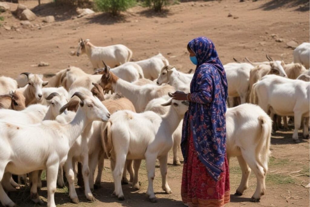 From Grazing Goats to Securing School Job: Chhattisgarh Woman's Inspiring Life Journey