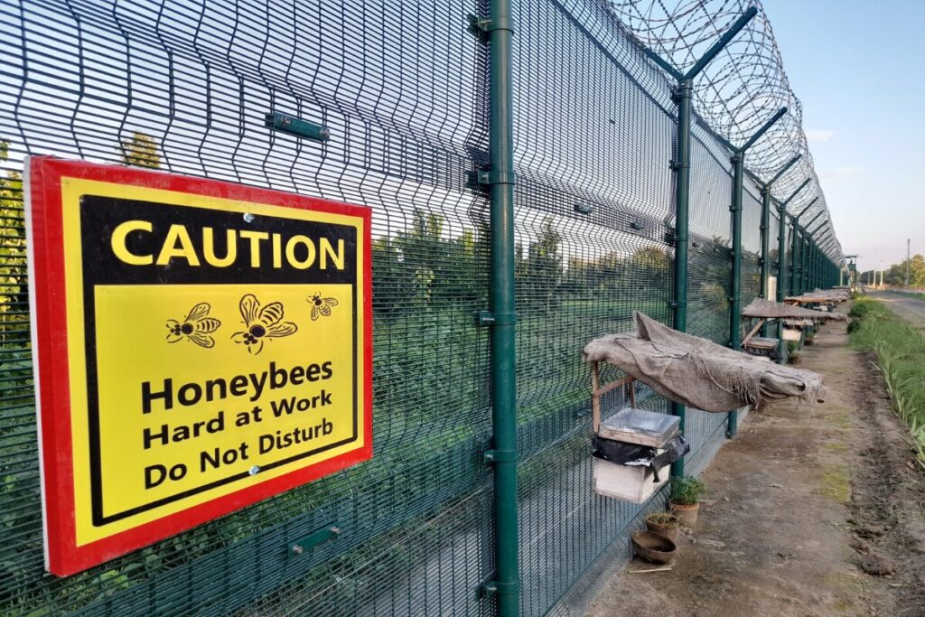 Bees At Work at Indo-Bangladesh Border: BSF Trains Men In Beekeeping To Avert Intrusion Bids