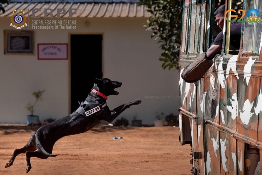 Care for Canines: CRPF’s Four-Legged Heroes to Get Dedicated Team of Doctors, Staff | Exclusive