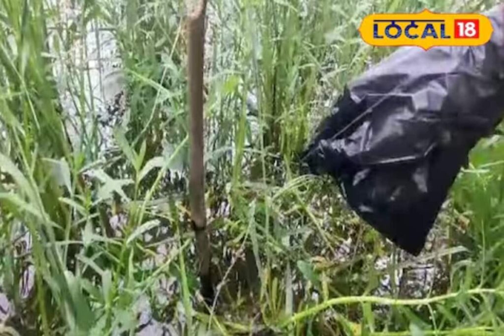 Father, Mother and Son Found Dead at Family's Guava Orchard in West Bengal, Electrocution Suspected