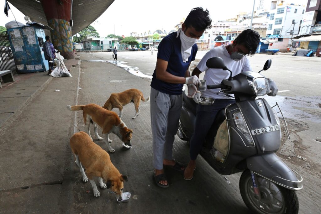 Ghaziabad Veterinary Department to Carry Out City's First Dog Census