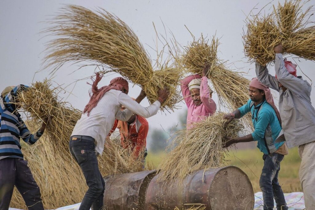 From PM Kisan Samman Nidhi, More MSP to Reduced Export Duty: How 'Kisan Mitra' Modi Revolutionised Agriculture