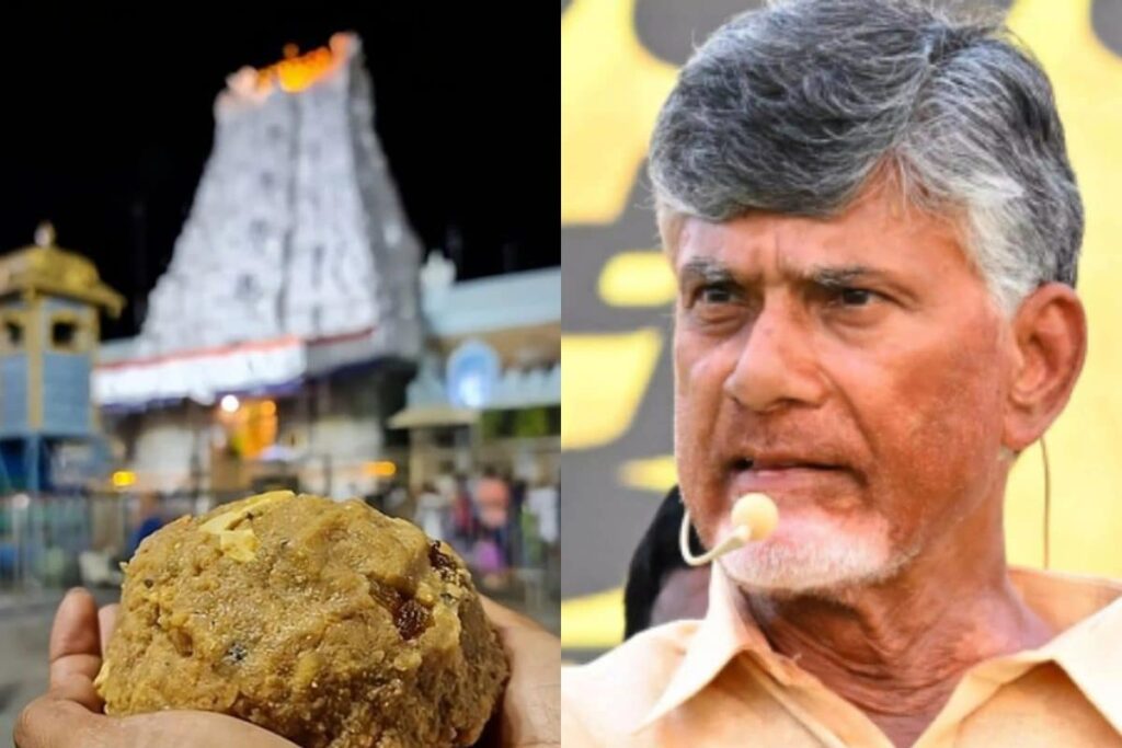 Tirupati Laddoo Row: Andhra Pradesh Govt Sets Up 9-Member SIT To Lead Ghee Adulteration Probe