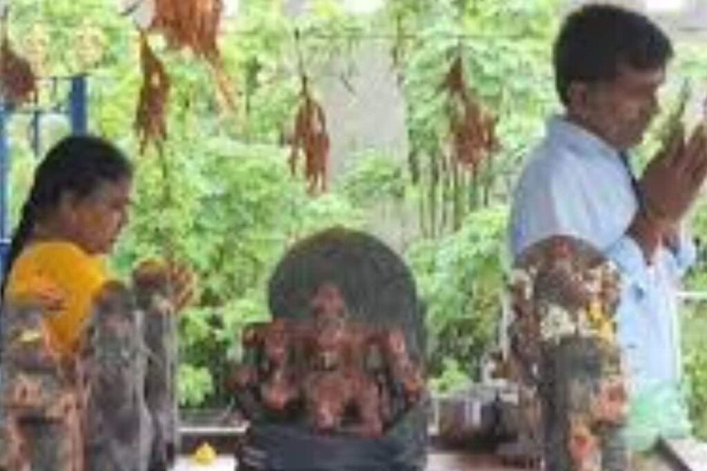 Expert Shares The Significance Of Navagrahas In Temples