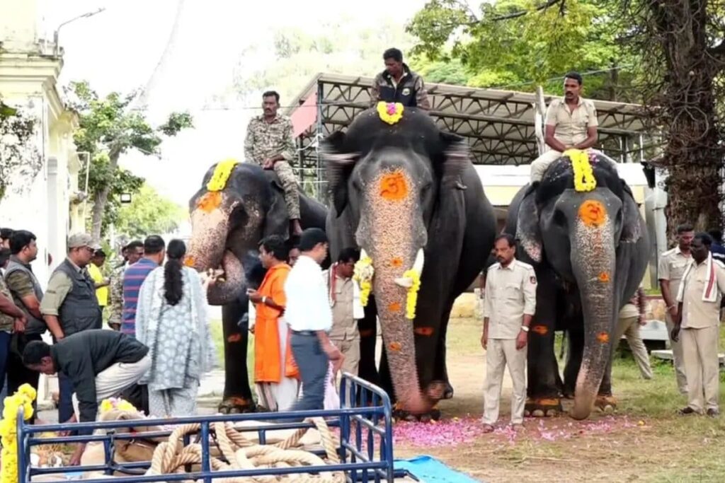 Mysuru Dasara 2024: Weight-bearing Training For Elephant Abhimanyu Starts