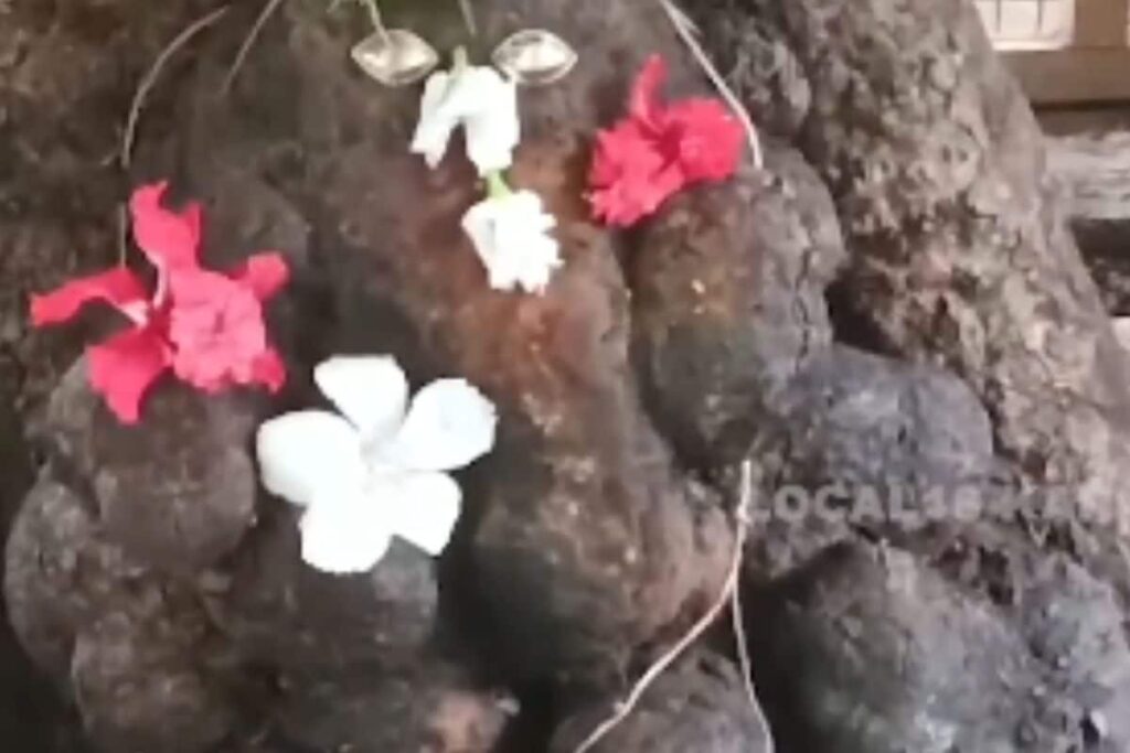 In Karnataka’s Bharatanahalli Village, This Ganesha Idol Is Known For Its Natural Formation In A Tree Trunk