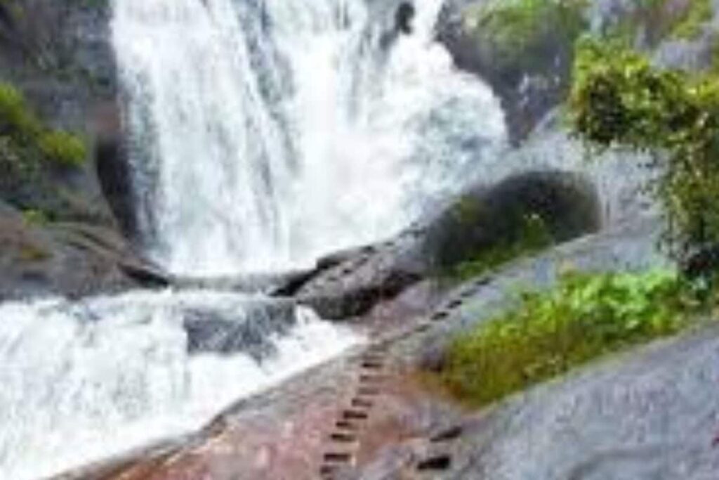 Kumbhavurutty Falls: Kerala's Scenic Gem Reopened To Tourists After Five-year Closure
