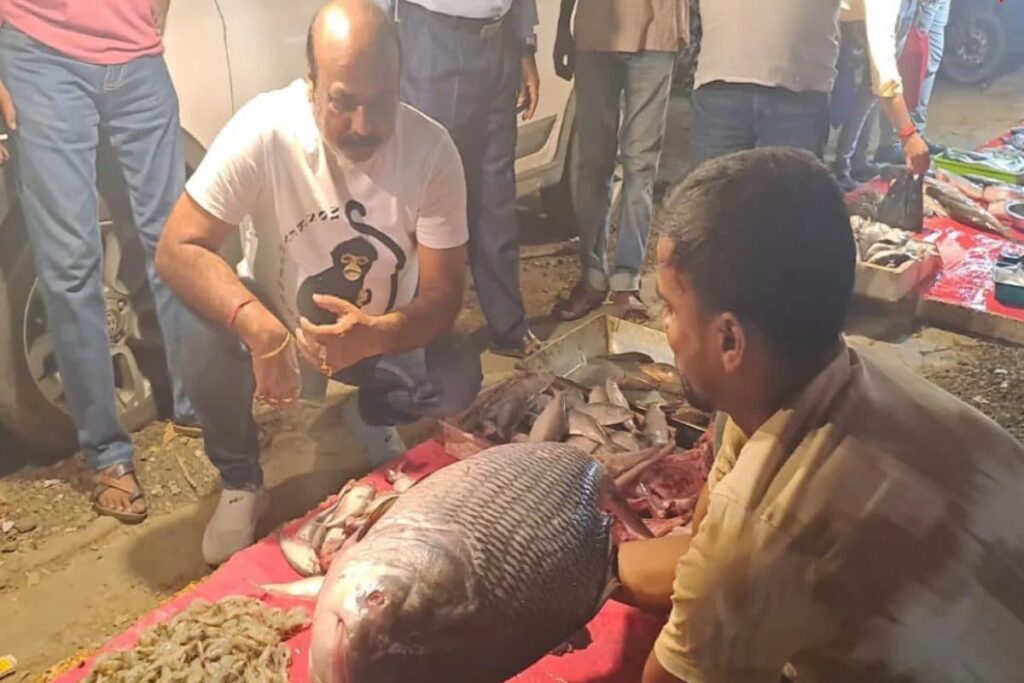 Giant Squid Shocks West Bengal's Malda Market: Sold At Rs 600 Per Kg