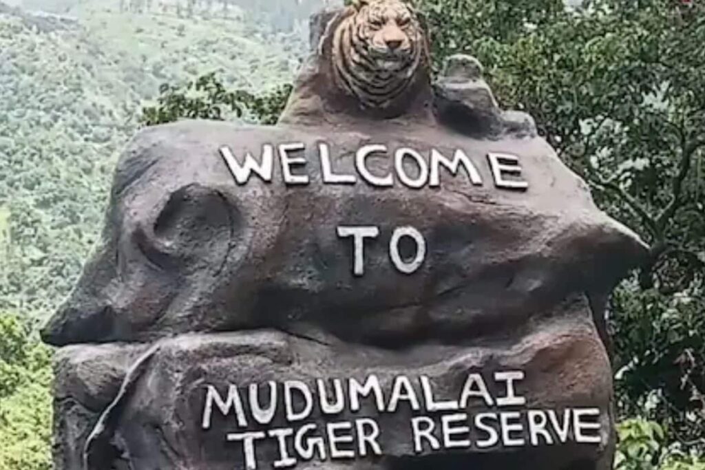 Why Tourist Vehicles Are Not Allowed In Ooty's Kalhatty Mountain Road