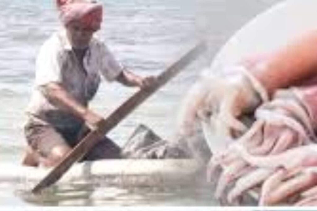 In Rameswaram, Fishermen Shares How Depletion Of Squid Species Affect Their Business