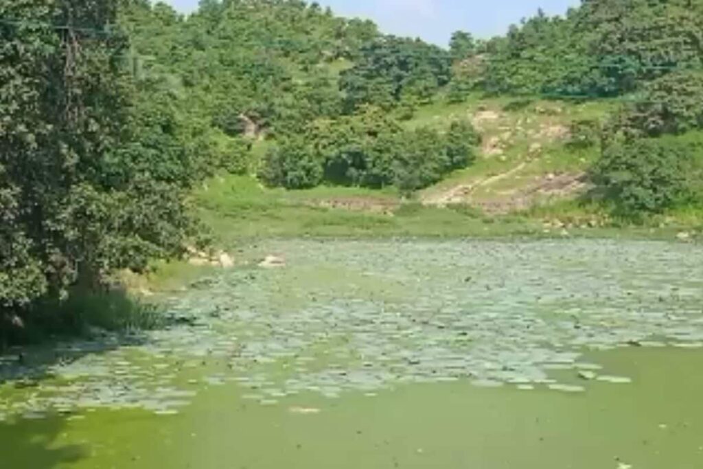 Maa Dhandagiri Sarovar: Bundelkhand's Eternal Pond That Never Dries Up