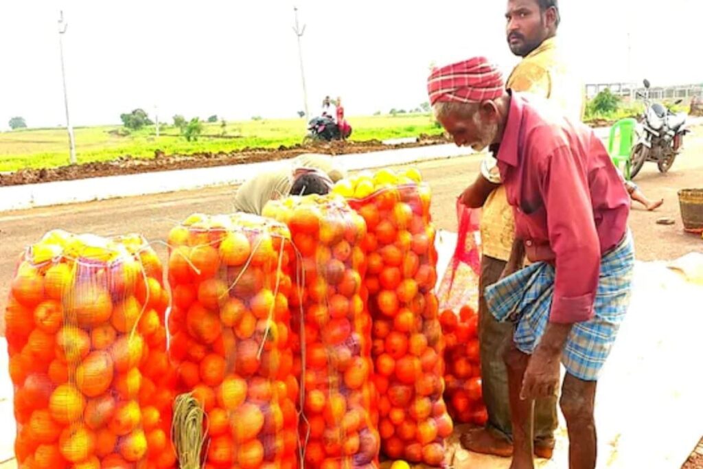 How Dual-crop Strategy Earned This Andhra Farmer 10 Times Of His Investment