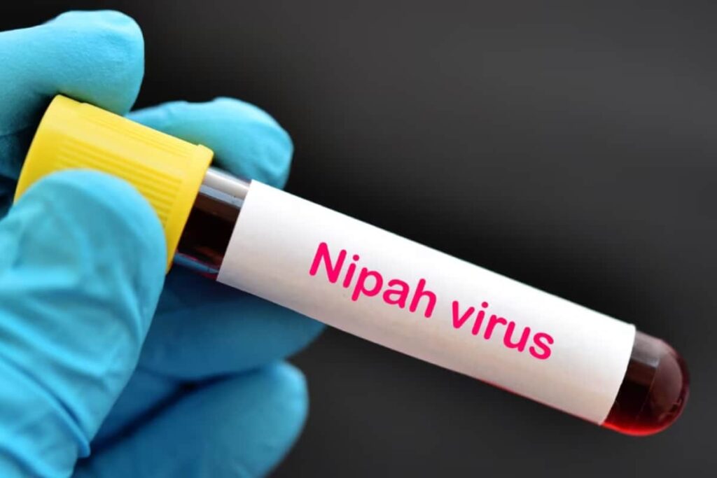 Kerala: Malappuram Man Died Due To Nipah Virus, 2nd Death This Year