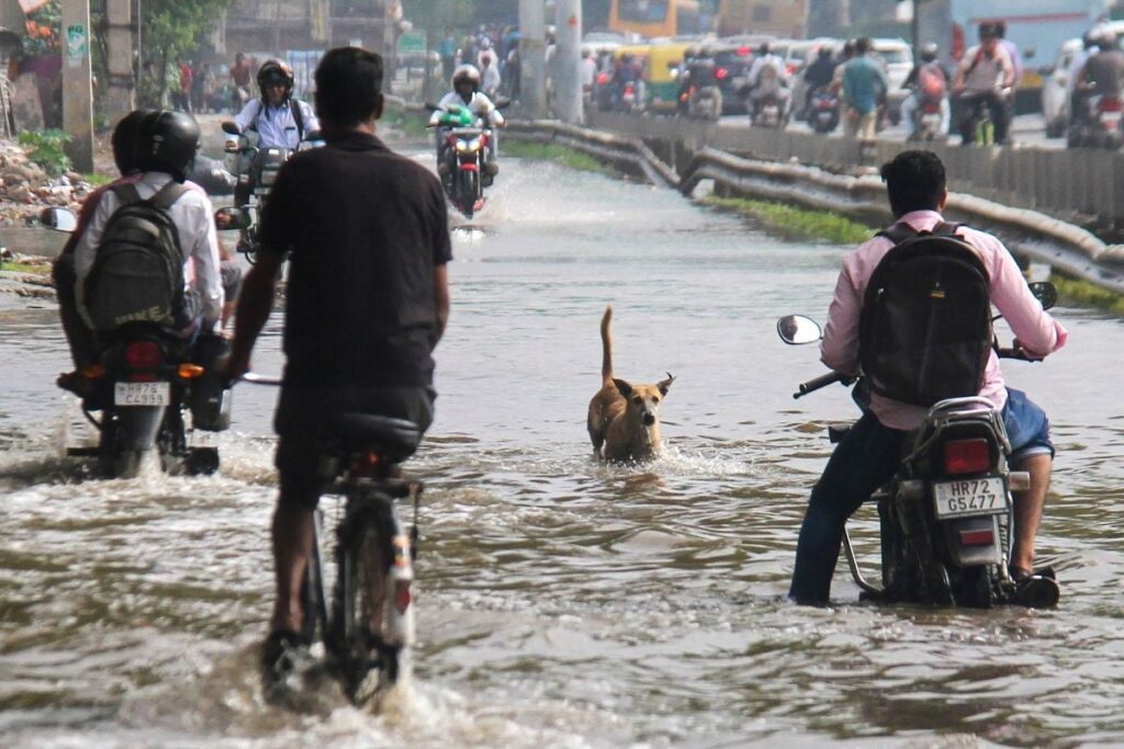 IMD Predicts Heavy Rain In Gujarat, Telangana & Some Other States | Weather Updates