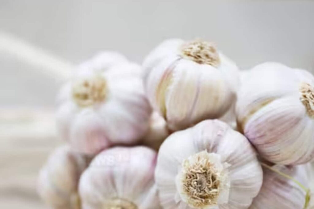 Food Fraud Alert: Are You Buying Chinese Garlic Full of Chemicals?