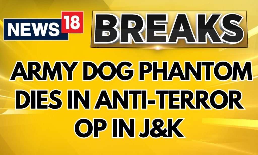 Army Dog Phantom Killed In Anti-Terror Operation In Jammu's Akhnoor | #BreakingNews | News18