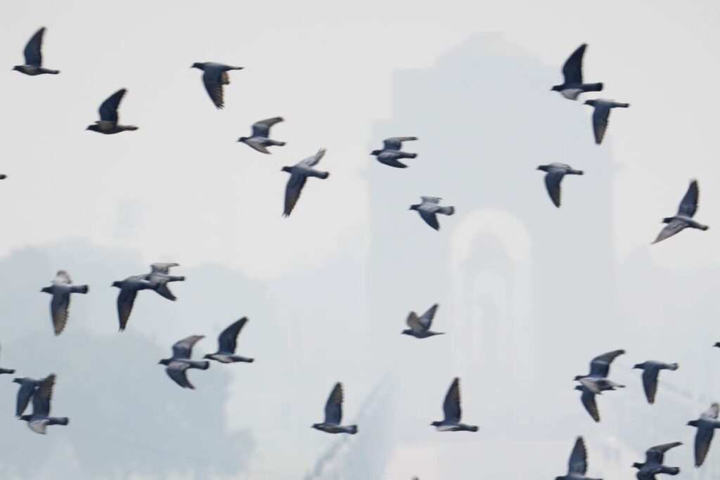 'Enhance Preparedness': Centre To States, UTs Amid Air Pollution Crisis