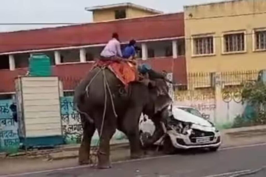 Jumbo Ride Turns Into 4-Hour Nightmare for Young Girls as Elephant Goes on Rampage at Dussehra Procession