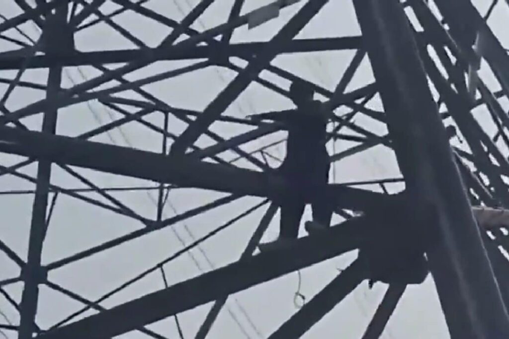 Man Climbs High-Voltage Electricity Pole In Delhi, Rescued
