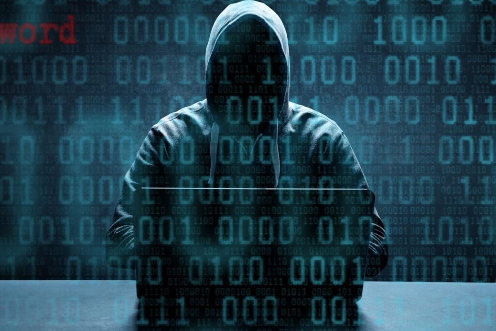 Mule Accounts Being Used To Set Up Illegal Payment Gateways For Fraud: MHA