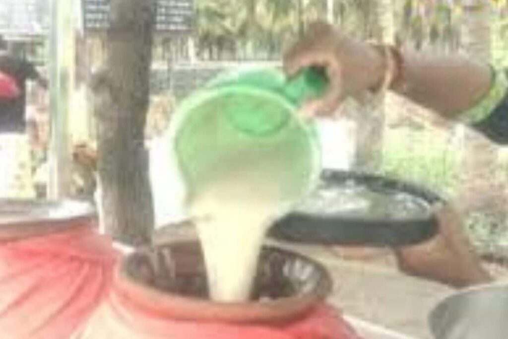 This Coimbatore Eatery Is Popular For Selling 220 Varieties Of Rice Dishes