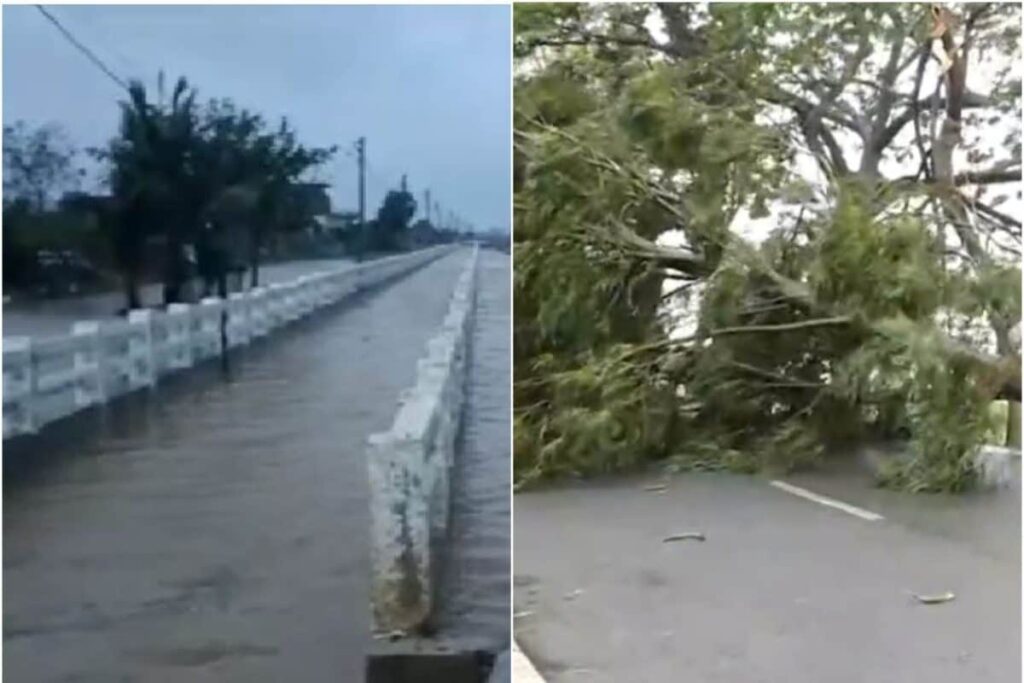 Cyclone Dana Landfall Process Ends, Say IMD Sources; Restoration Work On As Heavy Rain Uproots Trees