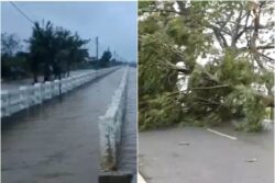 Cyclone Dana Landfall Process Ends, Say IMD Sources; Restoration Work On As Heavy Rain Uproots Trees