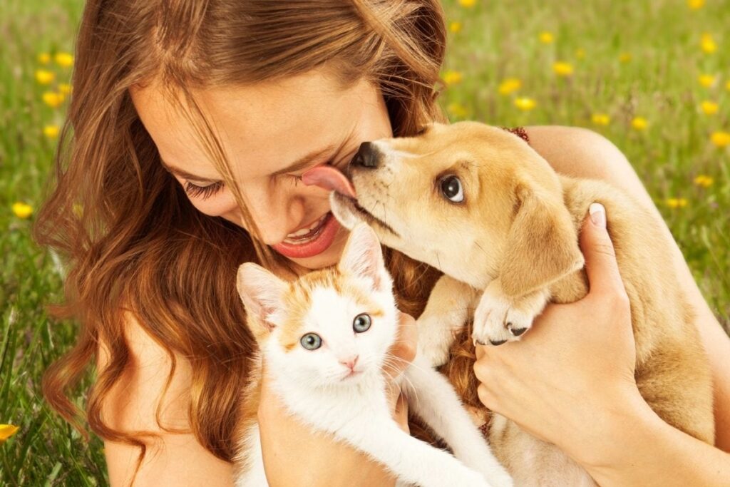 Delhi Air Pollution: Tips To Protect Your Pets As Vets See Spike In Patients