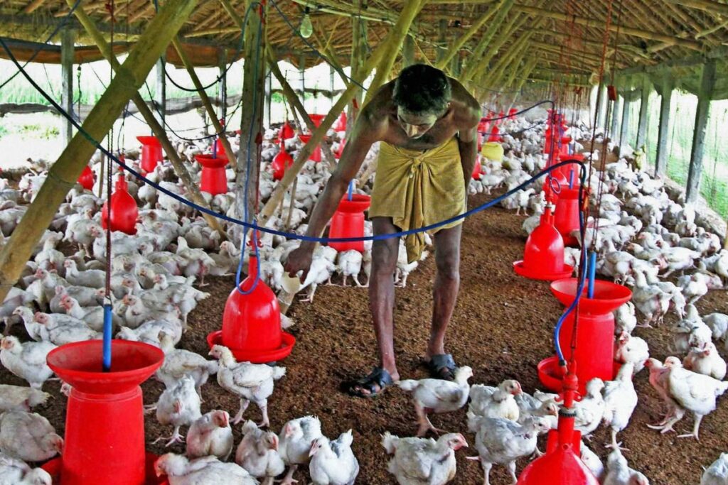 Poultry Farm Owner in Bihar Spits on Labourer’s Face, Asks Son To Urinate on Him