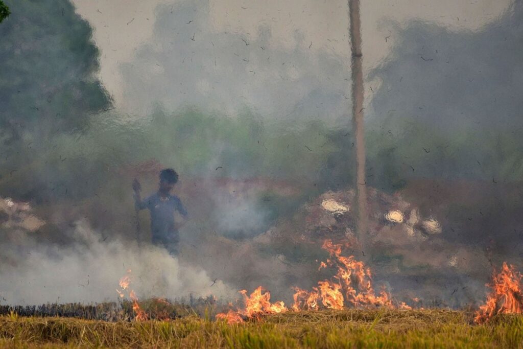 No End to Stubble Burning, 2,015 Fire Counts Detected Since September 15; Delhi Enforces GRAP-1