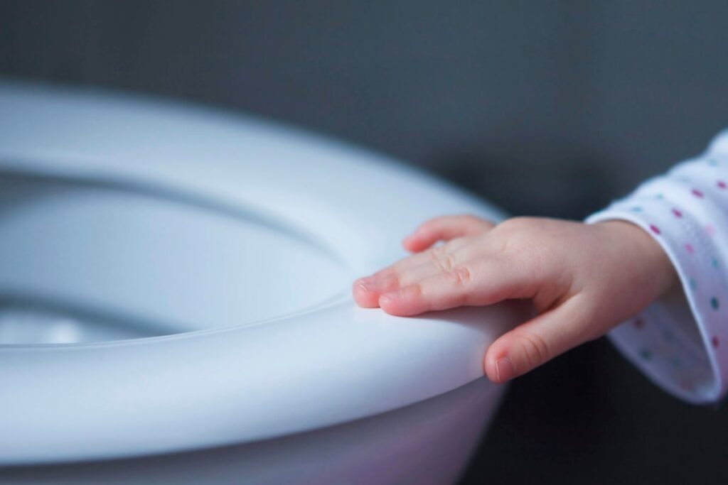 Himachal Pradesh Govt Imposes Toilet Seat Tax on Urban Residents