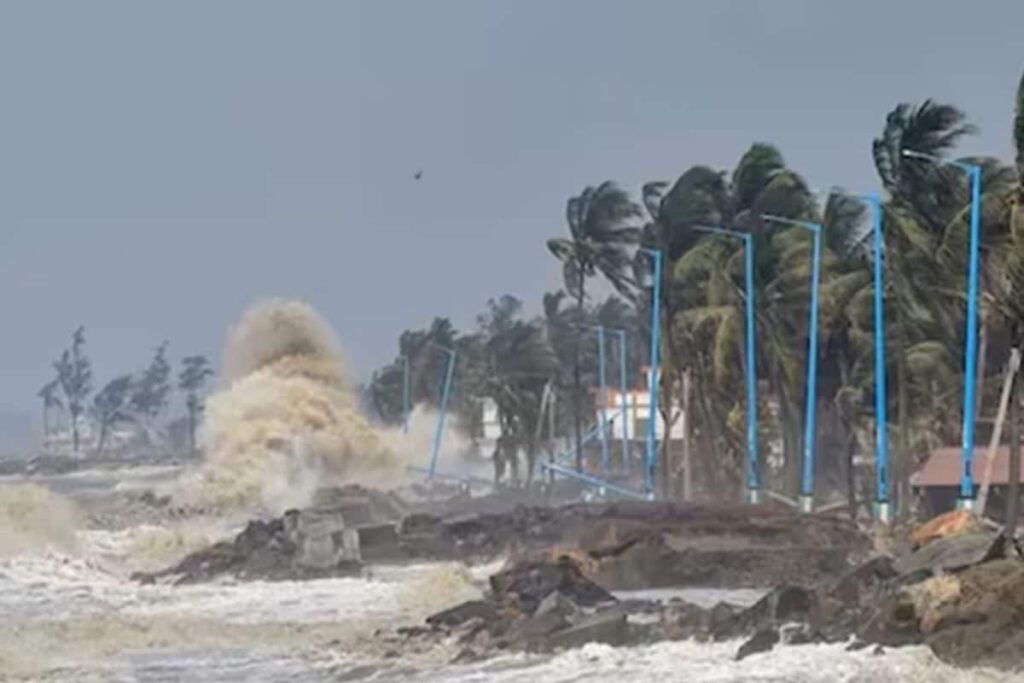 Little Damage, No Casualties: What Saved Odisha's Bhitarkanika From Cyclone Dana's Destruction?