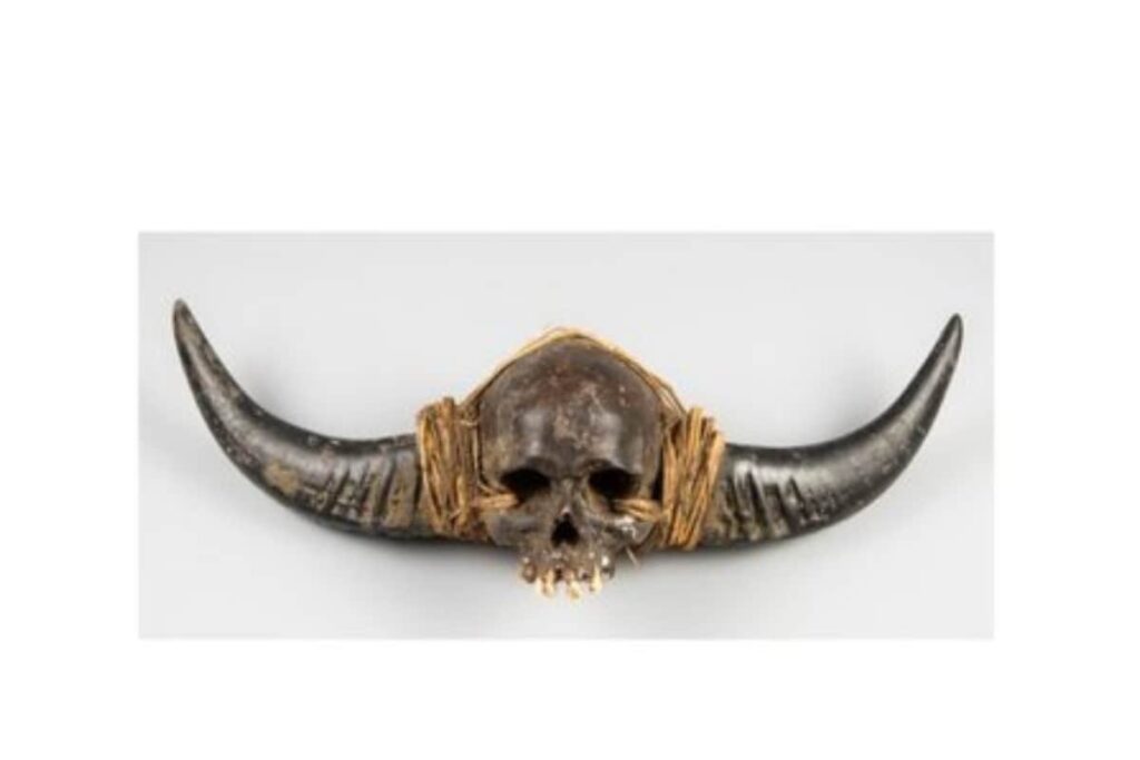 'Highly Emotional Issue': UK Auction House Withdraws Sale Of ‘Naga Human Skull’ After Outrage In India