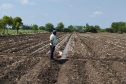 Waqf Name Inserted In Karnataka Land Records in 2022, Farmer Alleges Foul Play