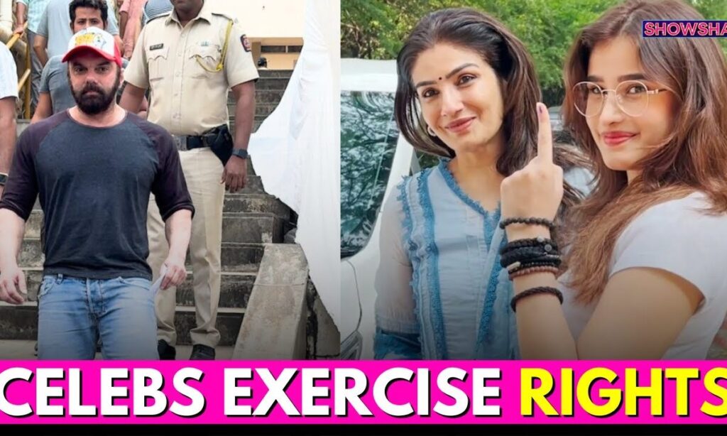 Maharashtra Elections 2024: Sohail Khan, Prachi Desai & Raveena Tandon Step Out To Cast Their Votes