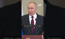 'Angela, I am Sorry' Putin Denies Bid To Scare German Chancellor With Dog Koni