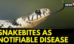 Centre' Big Move Against Snakebites! | Snakebites As Notifiable Disease In India | English News