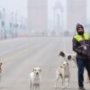 At 10.1 Degrees, Delhi Records Season's Coldest Morning, AQI Still 'Very Poor'