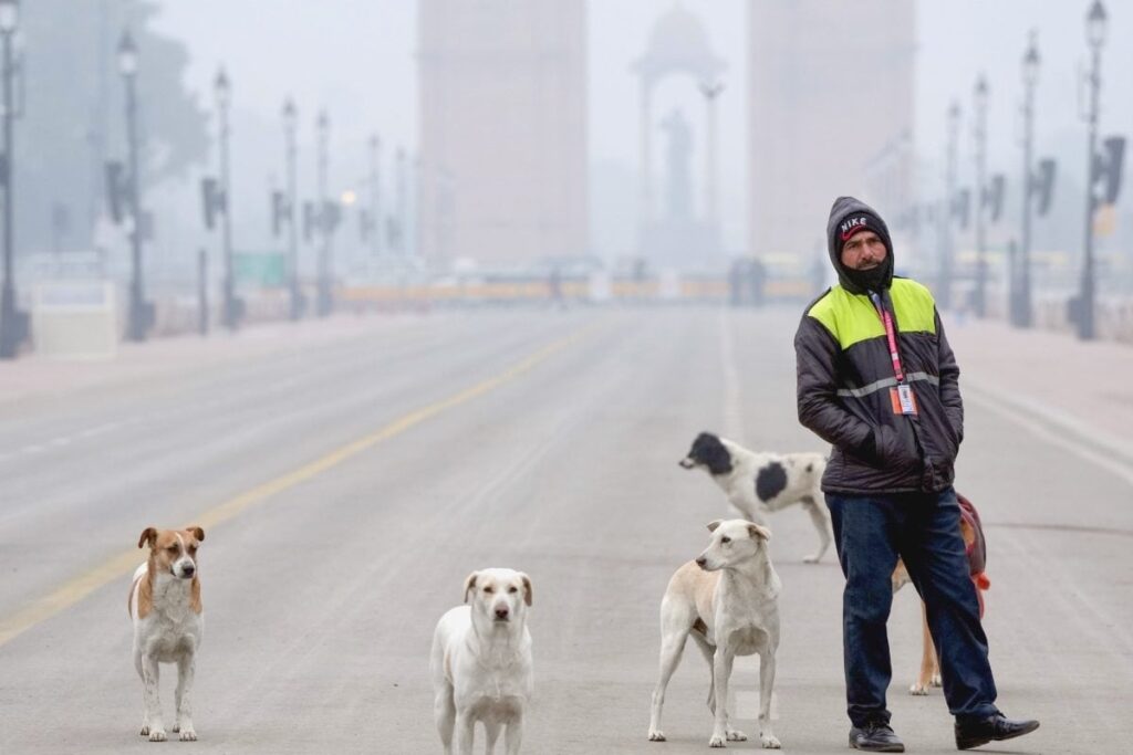 At 10.1 Degrees, Delhi Records Season's Coldest Morning, AQI Still 'Very Poor'