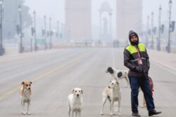 At 10.1 Degrees, Delhi Records Season's Coldest Morning, AQI Still 'Very Poor'