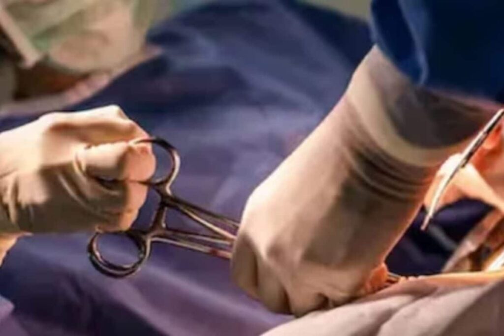 'Razor Blade Pieces, Batteries, Screws': Teen With 65 Objects In Stomach Dies After Surgery