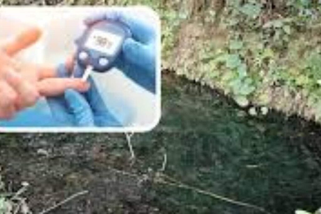 Sathuragiri Hills: Where Rare Medicinal Plants And Miraculous Jamun Thrive