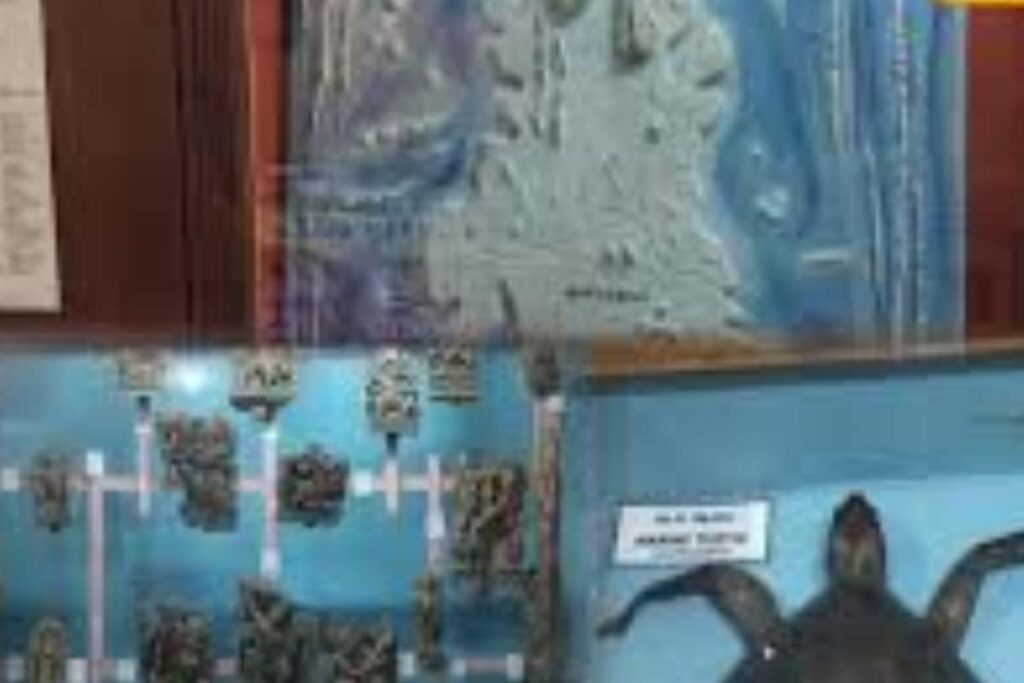 Step Back In Time As Kanyakumari's Govt Museum Reveals The Region's Rich Past