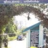 This School In Nilgiris Was Started With 8 Tribal People, Has Now 130 Students