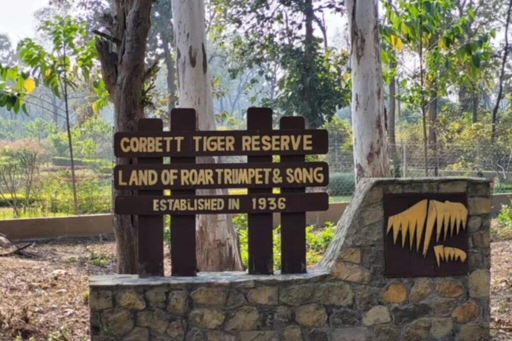 Drones, Cameras, Other Surveillance Tools Monitoring Women At Corbett Tiger Reserve: Study