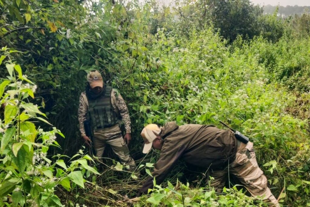 Manipur Government Trying To Secure Release Of Meiteis: Sources | Exclusive