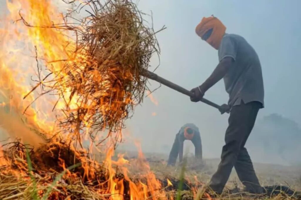 Over 350 Cases Of Farm Fires Reported In Punjab, Highest In Sangrur